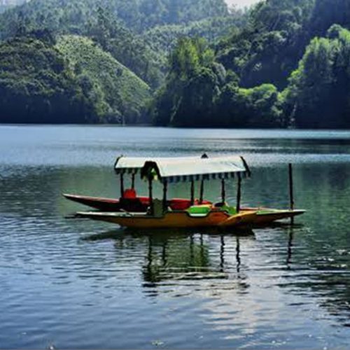 Munnar UDD 7