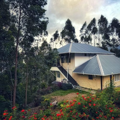 WhatsApp Image 2025-12-26 at 2.41.25 PM