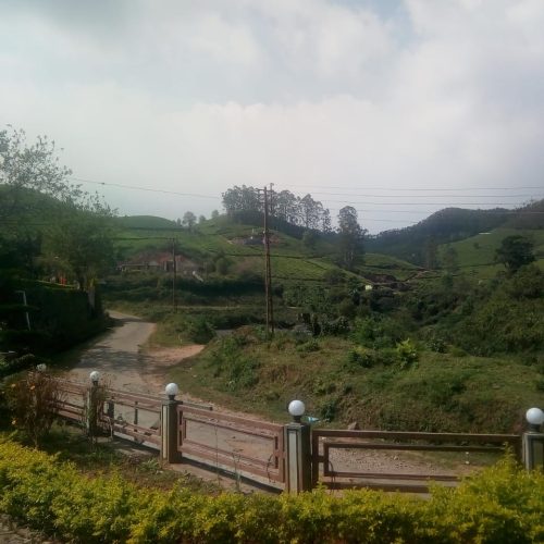 WhatsApp Image 2025-12-26 at 2.41.49 PM