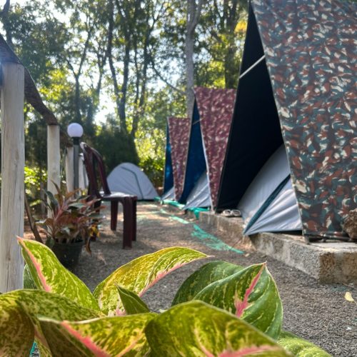 WhatsApp Image 2025-12-26 at 2.41.59 PM (1)