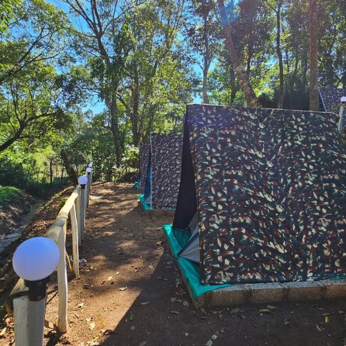 WhatsApp Image 2025-12-26 at 2.42.01 PM